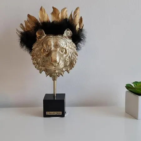 Tokitakai Collection 파도바