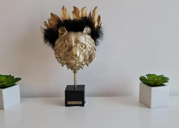 Tokitakai Collection Padova